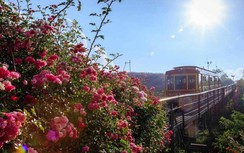 Lý giải trend check-in Sa Pa đang hot của giới trẻ