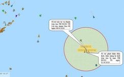 Phát hiện manh mối tàu cá bị chìm trong vụ va chạm với tàu hàng