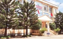 Bắt giam một cán bộ Chi cục thi hành án dân sự ở Đắk Lắk