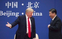 Tin tức 24h mới nhất, nóng nhất ngày hôm nay 13/6