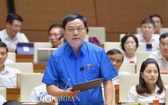 Đại biểu Quốc hội tranh luận vụ án Hồ Duy Hải và vụ lùi xe trên cao tốc