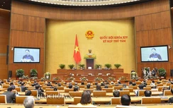 Chính thức bỏ hộ kinh doanh khỏi Luật Doanh nghiệp