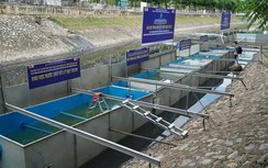 Công ty JVE phủ nhận việc từ bỏ xử lý nước sông Tô Lịch