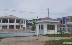 Làm sai chỉ "rút kinh nghiệm", trưởng phòng phải đề xuất lại mức kỷ luật