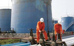 Giá xăng dầu hôm nay 25/6: Lao dốc do sự bùng phát Covid-19 tại Hoa Kỳ