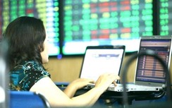 Chứng khoán ngày 3/7: SAB bứt phá, VN-Index tăng hơn 5 điểm phiên cuối tuần