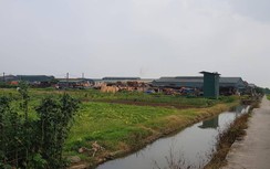 Ven đô ồ ạt xây dựng trái phép trên đất nông nghiệp