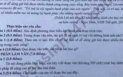 Đáp án đề thi vào lớp 10 môn Ngữ văn tỉnh Lào Cai năm 2020