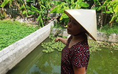 Thanh Hóa: Cám cảnh cả xã phải lấy nước ao sinh hoạt