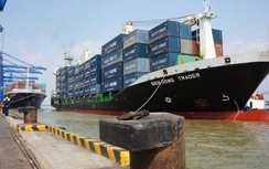 Hàng hóa qua cảng biển duy trì đà tăng, bất chấp Covid-19