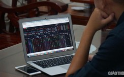 Chứng khoán ngày 27/7: Bán tháo diện rộng, cổ phiếu đua nhau "nằm sàn"