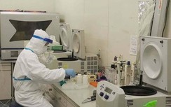 Ca bệnh Covid-19 ở Đà Nẵng mang chủng virus mới