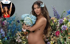 "Ring girl tỉ đô" Arianny Celeste khoe ảnh "bỏng rẫy" dù đang mang thai