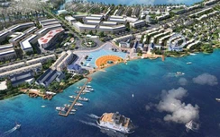 Novaland lãi 6 tháng đạt 1.177 tỷ đồng sau thuế