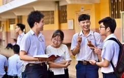 Đáp án đề thi môn Toán kỳ thi tốt nghiệp THPT 2020 - Mã đề 113