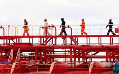 Hàng hải tiếp tục “nới” cơ chế cho thuyền viên giữa tâm dịch Covid-19