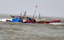 Khi gặp bão biển, ngư dân cần làm gì?