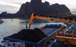 Bị nhà cung cấp than kiện đòi hơn 208 tỷ đồng, EVN nói gì?