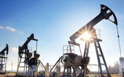 Giá xăng dầu hôm nay 14/8: Ổn định sau khi IEA hạ dự báo nhu cầu