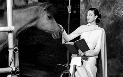 Lương Thùy Linh khoe vẻ sắc lạnh, cá tính bên chuồng ngựa