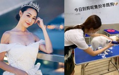 Một nàng hậu bị tố tiểu tam, đen nhất lịch sử Hong Kong