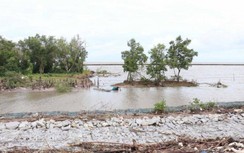 Gần 5km đê biển Tây bị sạt lở, sụt lún rất nghiêm trọng