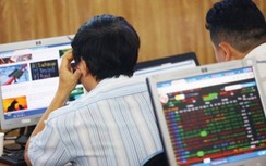 Chứng khoán ngày 20/8: Hai sàn tăng giảm trái chiều