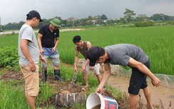 Về làng giữa Thủ đô xem thịt chuột là... đặc sản