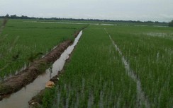 Tin mới vụ Phó Chủ tịch Hội Cựu chiến binh ghì đầu người dân xuống nước