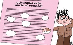 Chủ tịch, Phó Chủ tịch UBND huyện Trà Cú bị đề nghị kiểm điểm