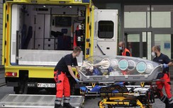 Diễn biến vụ thủ lĩnh đối lập Nga Alexei Navalny nghi bị đầu độc