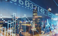 Chứng khoán ngày 31/8: VN-Index may mắn giữ sắc xanh nhạt