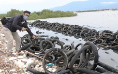 Xử lý việc dùng cả ngàn lốp xe để nuôi hàu sau phản ánh của Báo Giao thông