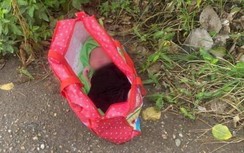 Yên Bái: Bé trai 3 ngày tuổi bị bỏ rơi ở khe nước, mặt có nhiều vết xước