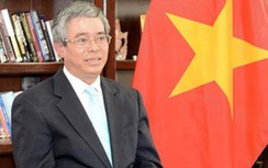 Bầu cử Tổng thống Mỹ: Biden đang "trên cơ" nhưng chưa chắc thắng được Trump