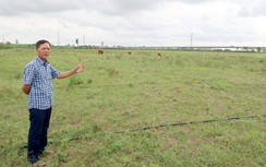 Tỉnh Thái Bình cương quyết, Tập đoàn TH vẫn không muốn trả tiền