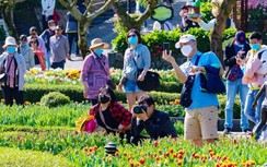 “Ngấm đòn” Covid-19, 76% doanh nghiệp không cân đối được thu chi