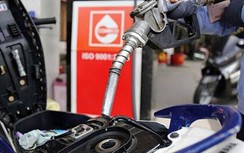 Giá xăng dầu hôm nay 14/9: Quay đầu tăng nhờ tín hiệu cắt giảm từ OPEC+