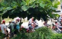 Cà Mau: Người đàn ông có biểu hiện ho, tử vong bất thường ở phòng khám tư