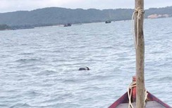 Phát hiện một tàu cá không người và thi thể một ngư dân trôi dạt trên biển