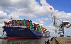 Mối lo hãng tàu tăng giá xếp dỡ vô tội vạ