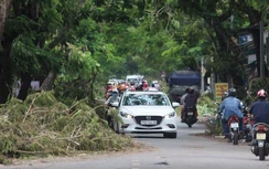 Nhiều tuyến đường tại Huế còn ngổn ngang sau bão số 5