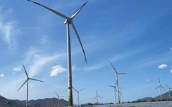 Nhà thầu nội thi công cụm điện gió trên bờ lớn nhất Việt Nam