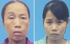 Hải Phòng: Khởi tố trưởng trạm y tế mua bán giấy khám sức khỏe giả