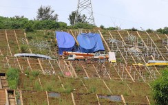 Đừng làm khẩu hiệu, cổng chào kiểu “đói thì đảo mái đình mà ăn”