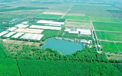 Phát triển nông nghiệp bền vững: Nhìn từ hệ thống trang trại Vinamilk