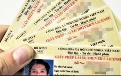 Phát hiện nhiều trang web tra cứu thông tin GPLX giả mạo