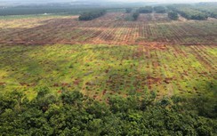 102.000 tỷ đồng xây Sân bay Long Thành lấy từ đâu?