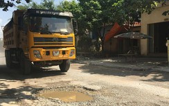 Xe cơi thùng cày nát đê sông Luộc