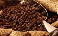 Một doanh nghiệp chi trả cổ tức tỷ lệ tới 250% bằng tiền mặt